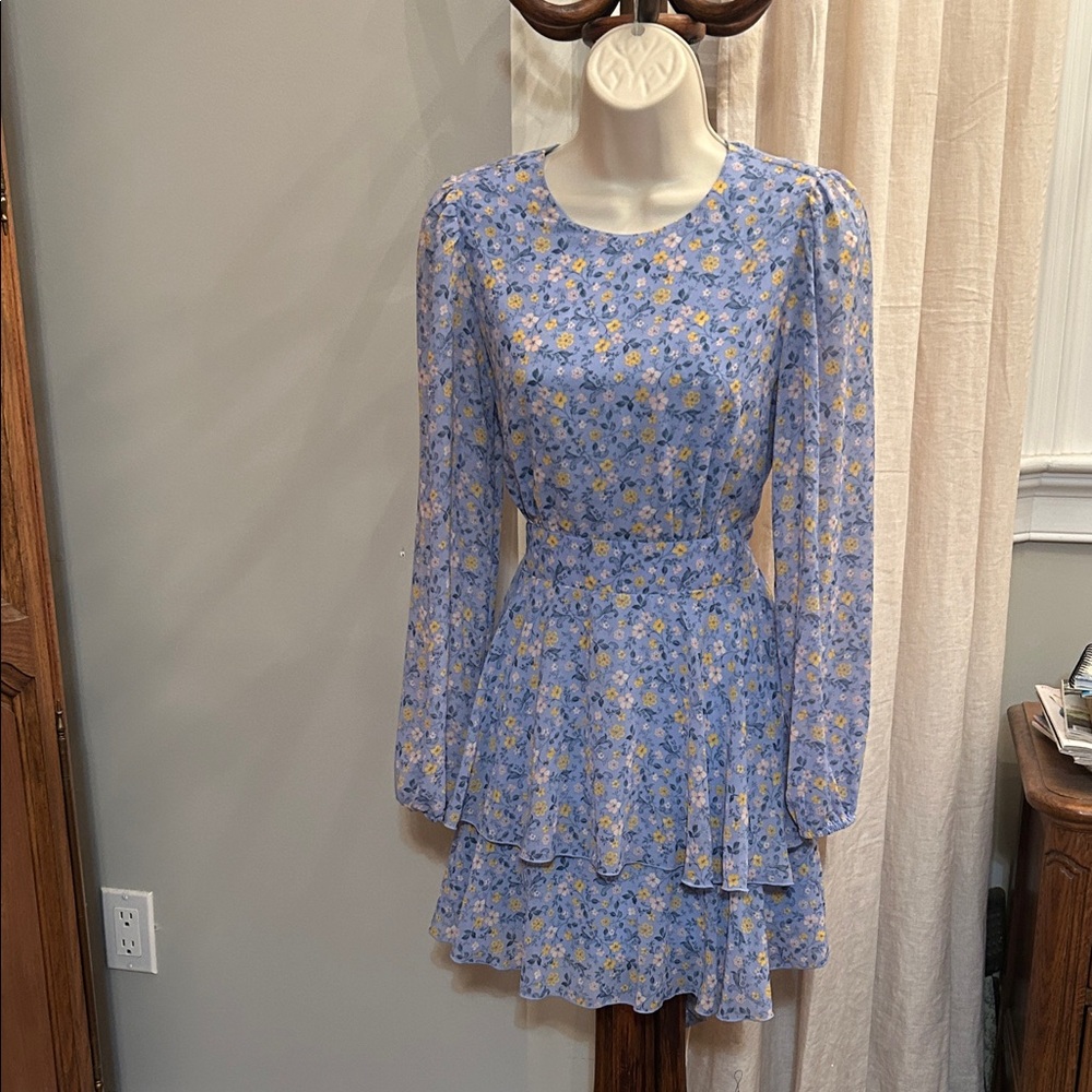 Forever 21 Blue Floral Long Sleeve Dress